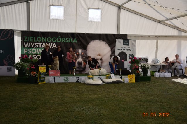 pieski3d 150